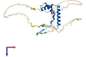 AlphaFold protein structure predicition of Human Recombinant SOX14 Protein, UniprotID O95416