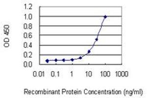 Detection limit for recombinant GST tagged SNX10 is 1 ng/ml as a capture antibody.