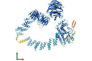 AlphaFold protein structure predicition of Mouse Recombinant Ift122 Protein, UniprotID Q6NWV3