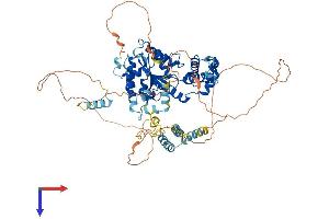 AlphaFold protein structure predicition of Human Recombinant FIGNL1 Protein, UniprotID Q6PIW4