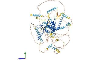 AlphaFold protein structure predicition of Human Recombinant MCM10 Protein, UniprotID Q7L590