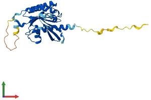 AlphaFold protein structure predicition of Human Recombinant RAB20 Protein, UniprotID Q9NX57