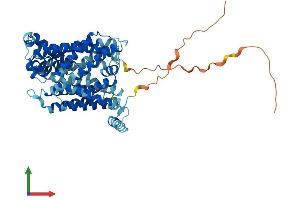 AlphaFold protein structure predicition of Human Recombinant SLC7A10 Protein, UniprotID Q9NS82