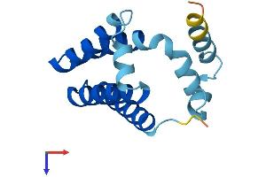 AlphaFold protein structure predicition of Human Recombinant GOLT1B Protein, UniprotID Q9Y3E0