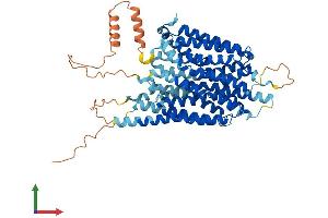 AlphaFold protein structure predicition of Human Recombinant SLC43A1 Protein, UniprotID O75387