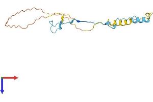 AlphaFold protein structure predicition of Mouse Recombinant Snrnp27 Protein, UniprotID Q8K194