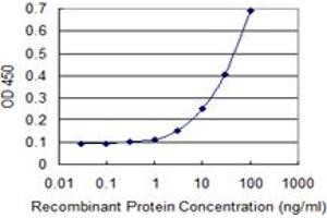 Detection limit for recombinant GST tagged ABLIM1 is 1 ng/ml as a capture antibody. (ABLIM1 anticorps  (AA 637-736))