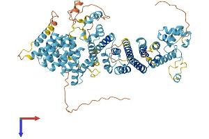 AlphaFold protein structure predicition of Human Recombinant CENPI Protein, UniprotID Q92674