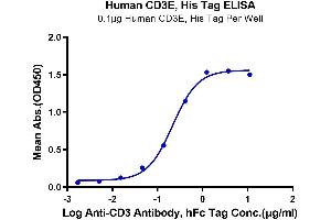 Immobilized Human CD3E at 1 μg/mL (100 μL/Well). (CD3 epsilon Protein (CD3E) (AA 23-126) (His tag))