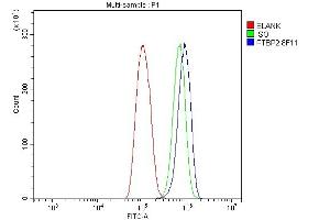 Flow Cytometry analysis of THP-1 cells using anti-PTBP2 antibody (ABIN7599454). (PTBP2 anticorps  (AA 1-504))