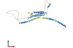 AlphaFold protein structure predicition of Human Recombinant STX18 Protein, UniprotID Q9P2W9