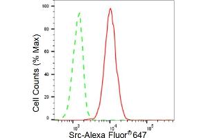 Flow cytometric analysis of Src expression in C2C12 cells using Src antibody (ABIN7800053), 1:2,000). (Recombinant Src anticorps)