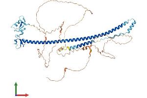 AlphaFold protein structure predicition of Human Recombinant TRIM29 Protein, UniprotID Q14134