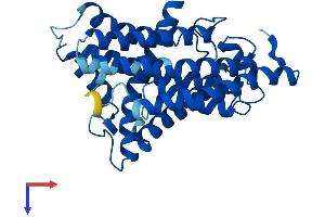 AlphaFold protein structure predicition of Mouse Recombinant Mtnd1 Protein, UniprotID P03888