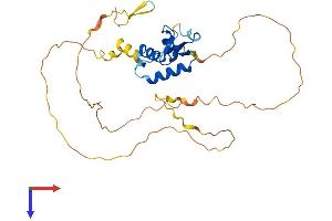 AlphaFold protein structure predicition of Mouse Recombinant Foxi2 Protein, UniprotID Q3I5G5