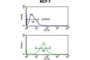 SNRPD3 Antibody (C-term) flow cytometric analysis of MCF-7 cells (bottom histogram) compared to a negative control cell (top histogram).