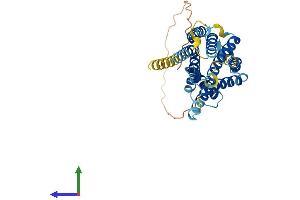 AlphaFold protein structure predicition of Mouse Recombinant Ackr1 Protein, UniprotID Q9QUI6