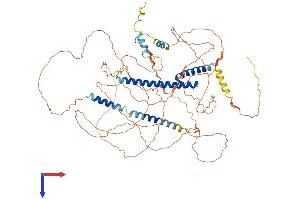 AlphaFold protein structure predicition of Mouse Recombinant Tcf12 Protein, UniprotID Q61286