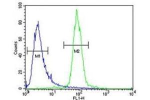 RPEL1 antibody flow cytometric analysis of K562 cells (green) compared to a negative control cell (blue). (Ribulose-5-Phosphate-3-Epimerase-Like (RPEL1) (AA 187-215) anticorps)