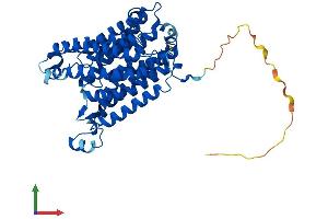 AlphaFold protein structure predicition of Human Recombinant RHCG Protein, UniprotID Q9UBD6