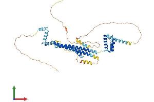 AlphaFold protein structure predicition of Mouse Recombinant Pbx1 Protein, UniprotID P41778