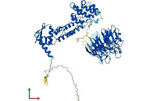 AlphaFold protein structure predicition of Human Recombinant KLHL20 Protein, UniprotID Q9Y2M5