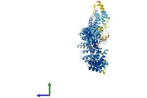 AlphaFold protein structure predicition of Mouse Recombinant Tex11 Protein, UniprotID Q14AT2