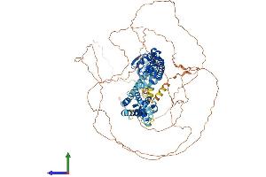AlphaFold protein structure predicition of Human Recombinant KCNB2 Protein, UniprotID Q92953