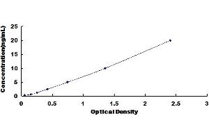 Typical Standard Curve for Rat TOP2 ELISA. (TOP2 Kit ELISA)