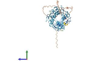 AlphaFold protein structure predicition of Human Recombinant ZNF19 Protein, UniprotID P17023