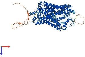 AlphaFold protein structure predicition of Human Recombinant SLC6A3 Protein, UniprotID Q01959