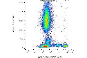 Flow cytometry analysis (surface staining) of CD8 in human peripheral blood with anti-CD8 (MEM-87) purified, GAM-APC.