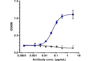Immobilized human SLITRK6 His at 2 μg/mL can bind Anti-SLITRK6 Reference Antibody (sirtratumab), EC50=0.