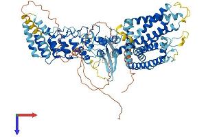 AlphaFold protein structure predicition of Human Recombinant TRPV3 Protein, UniprotID Q8NET8
