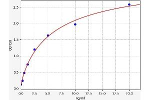 Typical standard curve (Tenascin N Kit ELISA)
