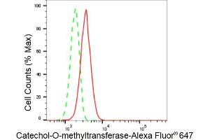 Flow cytometric analysis of Catechol-O-methyltransferase expression in HT- cells using Catechol-O-methyltransferase antibody (ABIN7797922), 1:2,000). (Recombinant COMT anticorps)