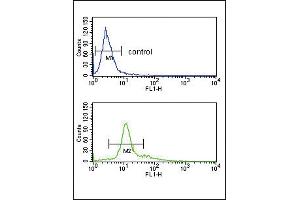 PCSK2 Antibody (Center) (ABIN391909 and ABIN2841723) flow cytometry analysis of K562 cells (bottom histogram) compared to a negative control cell (top histogram). (PCSK2 anticorps  (AA 318-346))