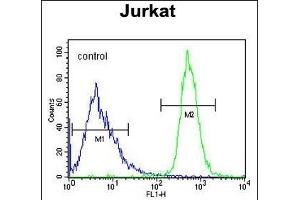 FFAR3 Antibody (C-term) (ABIN651415 and ABIN2840225) flow cytometric analysis of Jurkat cells (right histogram) compared to a negative control cell (left histogram). (FFAR3 anticorps  (C-Term))