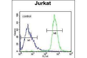 anti-Free Fatty Acid Receptor 3 (FFAR3) (AA 293-322), (C-Term) antibody