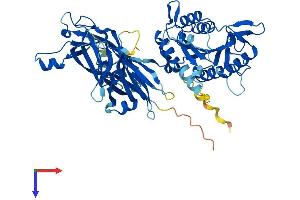 AlphaFold protein structure predicition of Mouse Recombinant Cpne9 Protein, UniprotID Q1RLL3