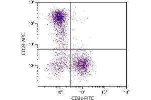 BALB/c mouse splenocytes were stained with Rat Anti-Mouse CD23-APC.
