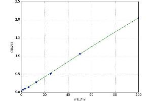 Creatine Kinase, Mitochondrial 1A (CKMT1A) ELISA Kit