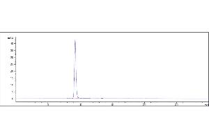 Anti- Human FGFR2( bemarituzumab) is 100 % , determined by SEC-HPLC. (Recombinant FGFR2 (Bemarituzumab Biosimilar) anticorps)