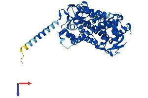 AlphaFold protein structure predicition of Mouse Recombinant Cyp2r1 Protein, UniprotID Q6VVW9