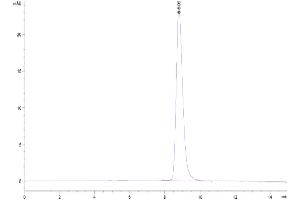 The purity of Cynomolgus CD200 is greater than 95 % as determined by SEC-HPLC. (CD200 Protein (CD200) (AA 56-257) (His tag))