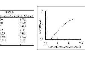 Cyclin D1 (CCND1) ELISA Kit