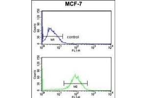 DSTN Antibody (Center) (ABIN653136 and ABIN2842712) flow cytometry analysis of MCF-7 cells (bottom histogram) compared to a negative control cell (top histogram).