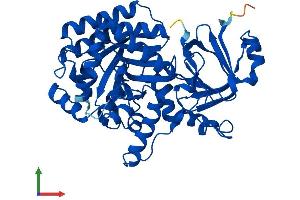 AlphaFold protein structure predicition of Human Recombinant GDA Protein, UniprotID Q9Y2T3