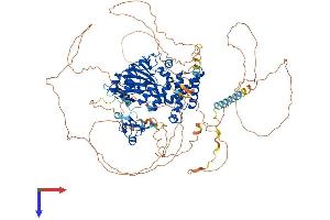 AlphaFold protein structure predicition of Mouse Recombinant Phf8 Protein, UniprotID Q80TJ7