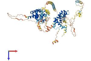 AlphaFold protein structure predicition of Mouse Recombinant Las1l Protein, UniprotID A2BE28